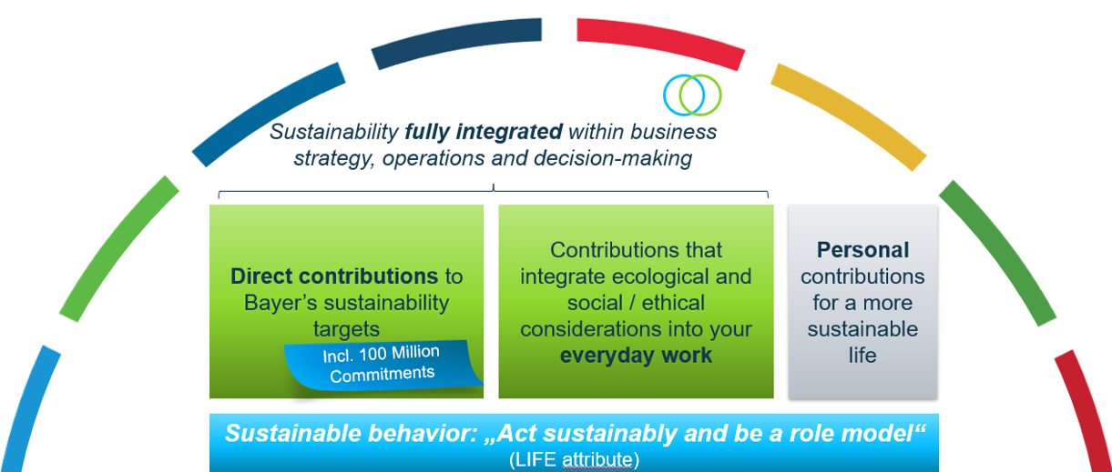 Areas of engagement1.png 