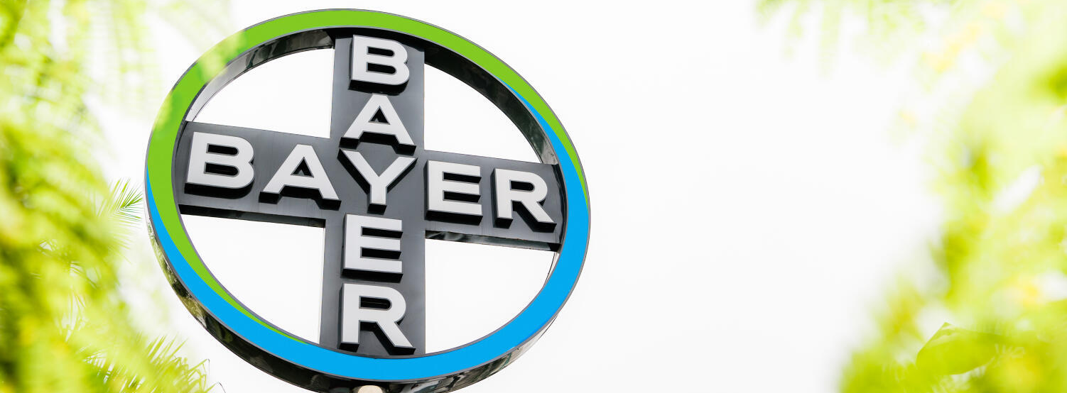 Global Organization & History.png 