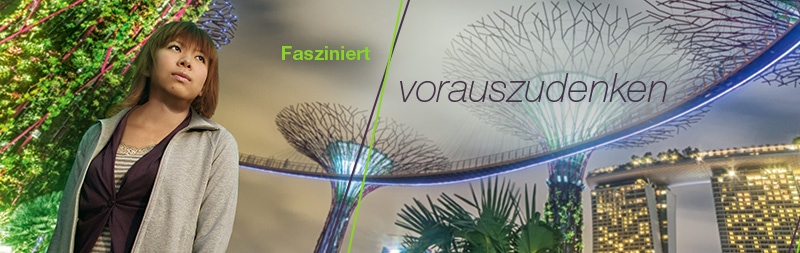 eb_800x253_de_supertrees